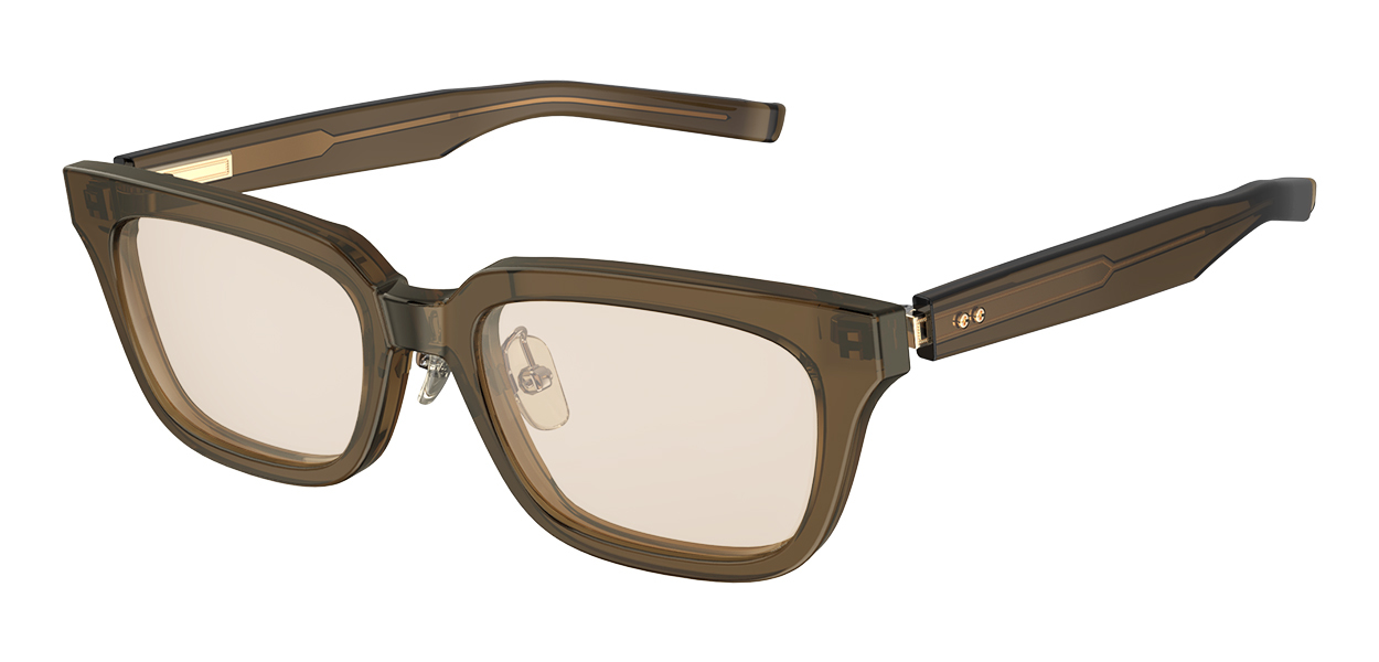 F-61NPZEISS col.19 ライトビール レンズ:ブラウン